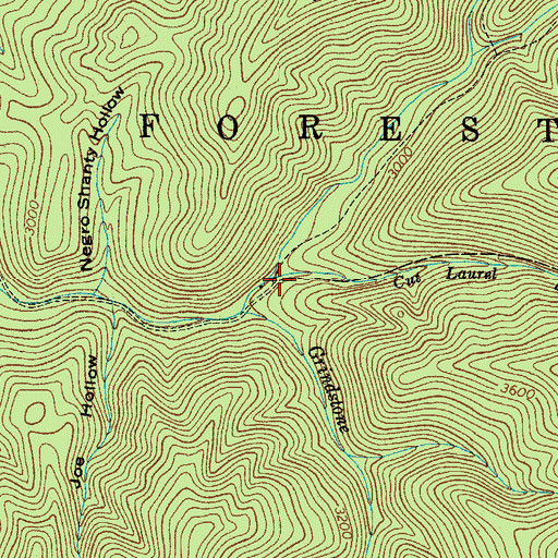 Topographic Map of Cut Laurel Branch, TN