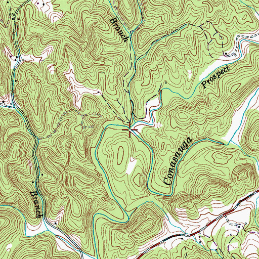 Topographic Map of Prospect Branch, TN