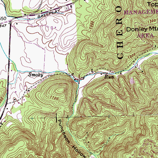 Topographic Map of Puncheon Hollow, TN