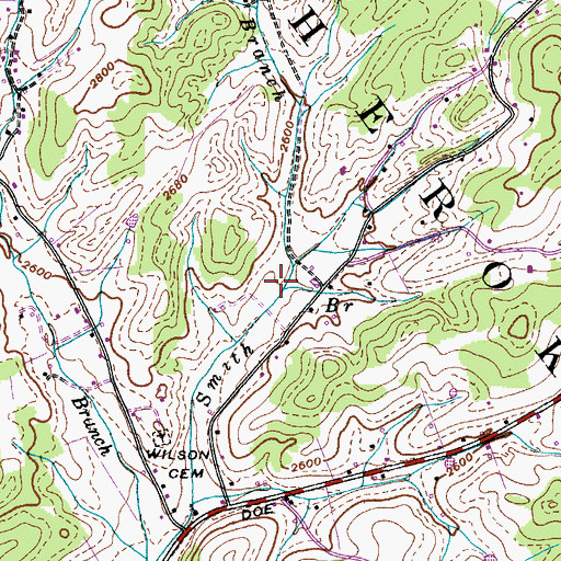 Topographic Map of Shaw Branch, TN