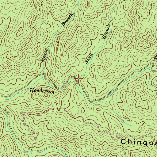 Topographic Map of Skull Branch, TN