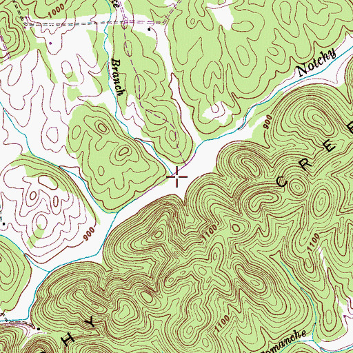 Topographic Map of Snake Branch, TN