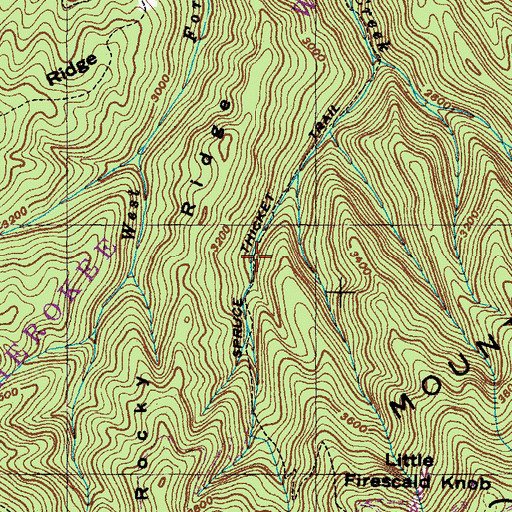Topographic Map of Spruce Thicket Trail, TN