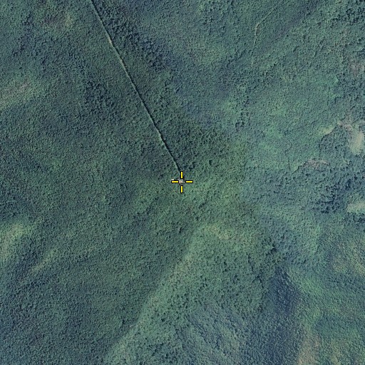 Aerial/Satellite Image of Stone Mountain, TN