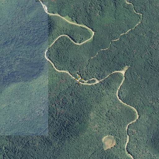 Aerial/Satellite Image of Stratton Meadows, TN