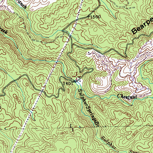 Topographic Map of Sulphur Springs Branch, TN