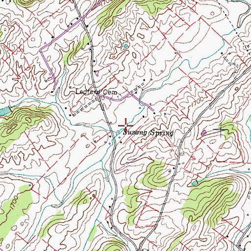Topographic Map of Susong Spring, TN