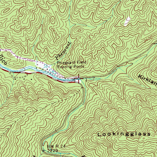 Topographic Map of Sycamore Creek, TN