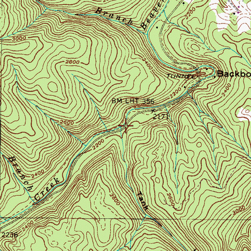 Topographic Map of Tank Hollow, TN