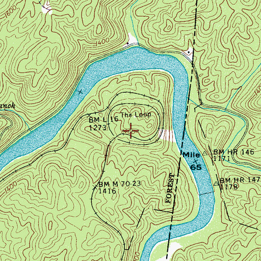 Topographic Map of The Loop, TN