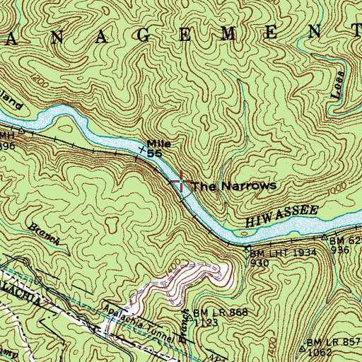 Topographic Map of The Narrows, TN