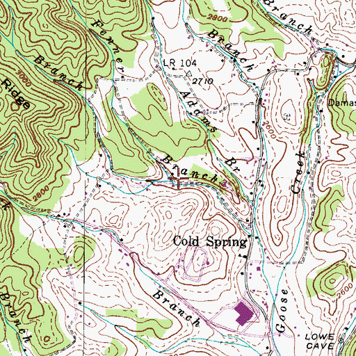 Topographic Map of Thomas Branch, TN