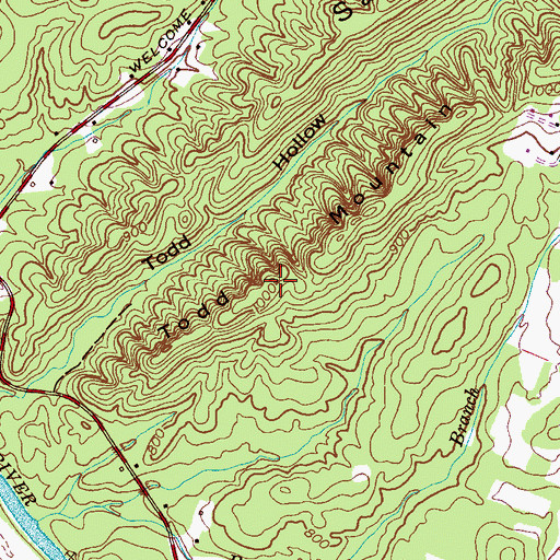 Topographic Map of Todd Mountain, TN