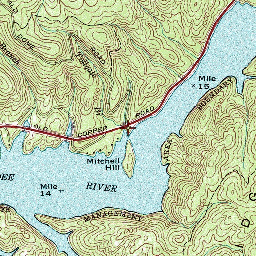 Topographic Map of Tollgate Branch, TN