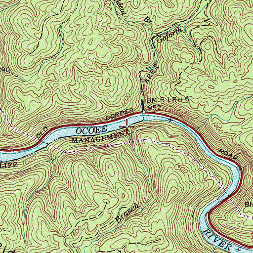 Topographic Map of Tolliver Shanty Branch, TN