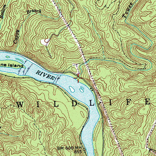 Topographic Map of Towee Creek, TN