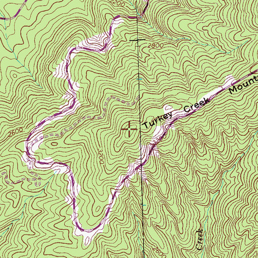Topographic Map of Turkey Creek Mountain, TN