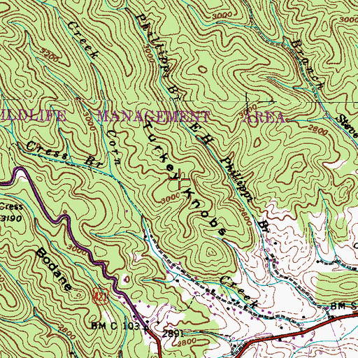 Topographic Map of Turkey Knobs, TN