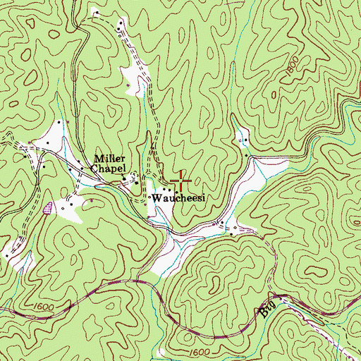 Topographic Map of Waucheesi, TN