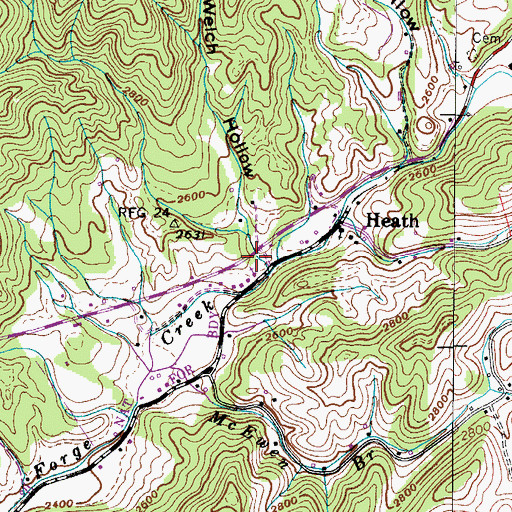 Topographic Map of Welch Hollow, TN