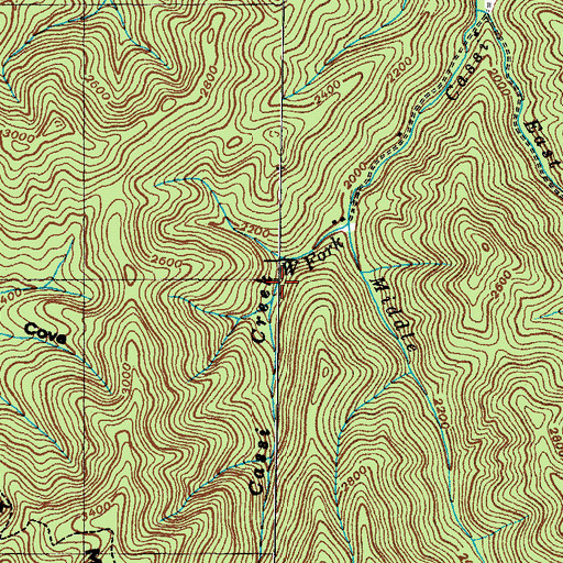 Topographic Map of West Fork Cassi Creek, TN