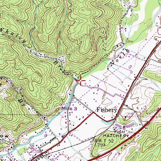 Topographic Map of Whaley Branch, TN