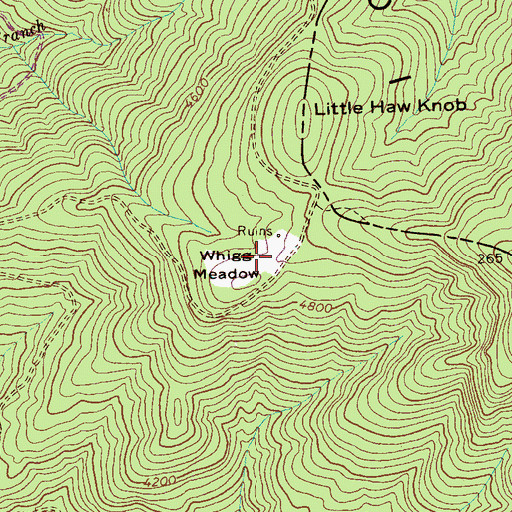 Topographic Map of Whigg Meadow, TN