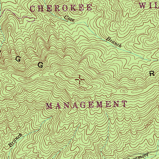 Topographic Map of Whigg Ridge, TN