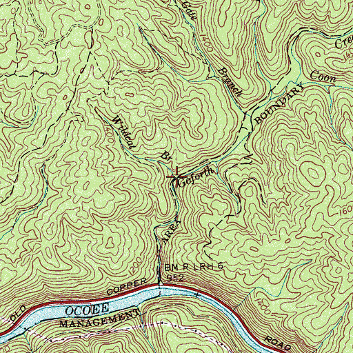 Topographic Map of Wildcat Branch, TN