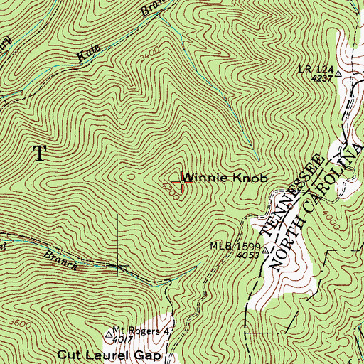 Topographic Map of Winnie Knob, TN