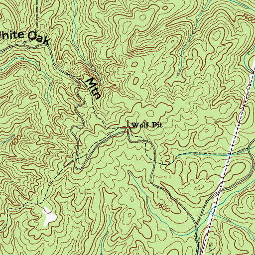 Topographic Map of Wolf Pit, TN
