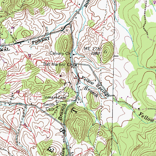 Topographic Map of Yellow Springs Branch, TN