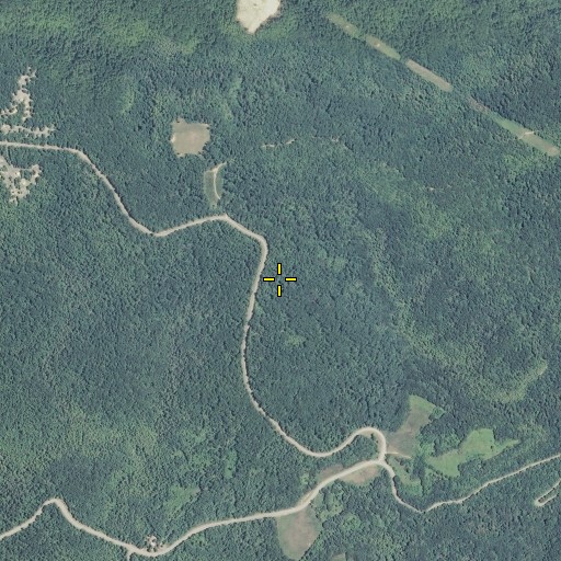 Aerial/Satellite Image of Scott State Forest, TN