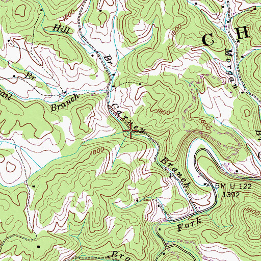 Topographic Map of Alexander Branch, TN