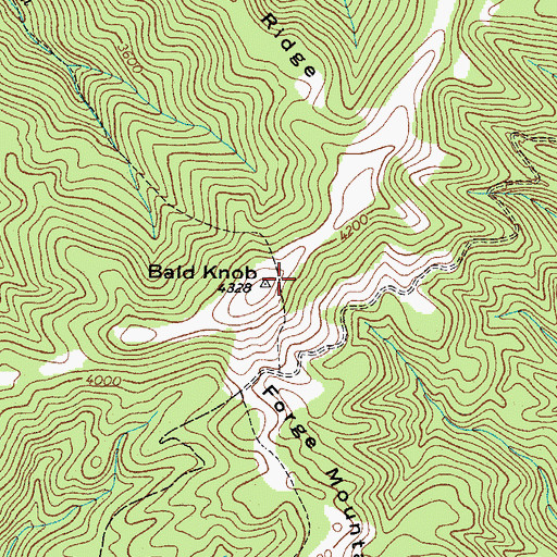 Topographic Map of Bald Knob, TN