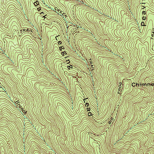 Topographic Map of Bark Legging Lead, TN