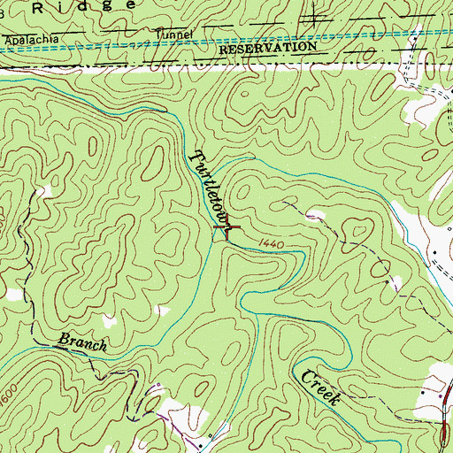 Topographic Map of Bear Branch, TN