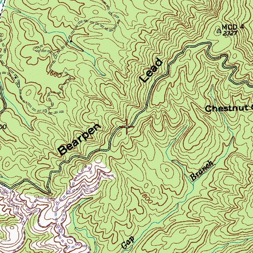 Topographic Map of Bearpen Lead, TN