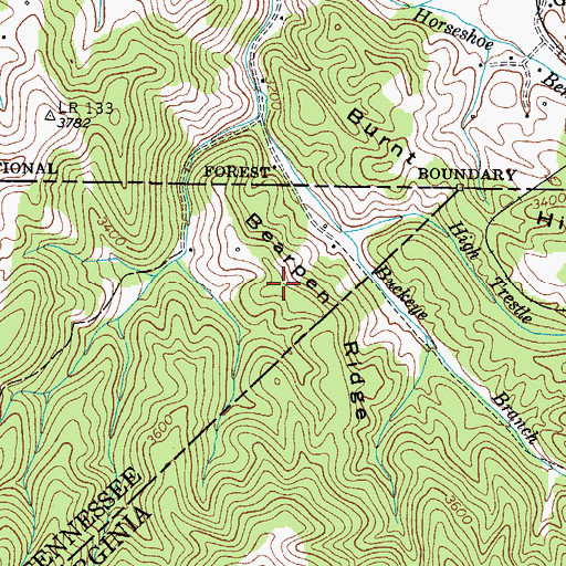Topographic Map of Bearpen Ridge, TN