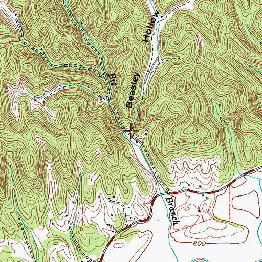 Topographic Map of Beasley Hollow, TN