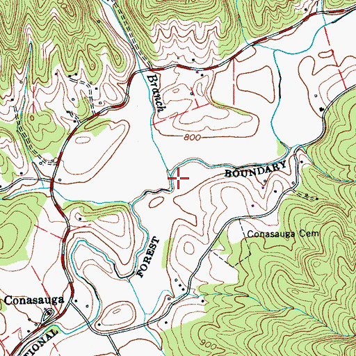 Topographic Map of Big Branch, TN