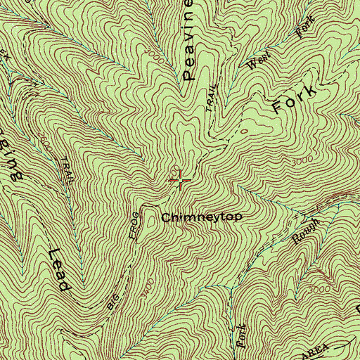 Topographic Map of Big Frog Trail, TN