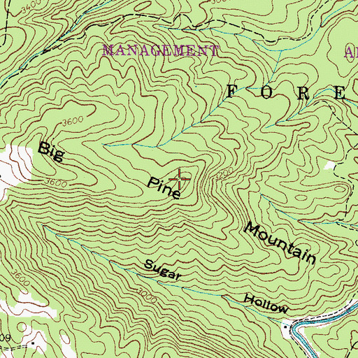 Topographic Map of Big Pine Mountain, TN