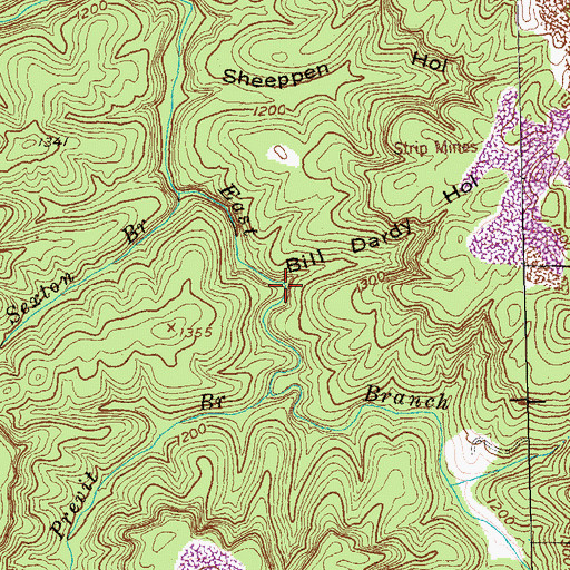 Topographic Map of Bill Dardy Hollow, TN