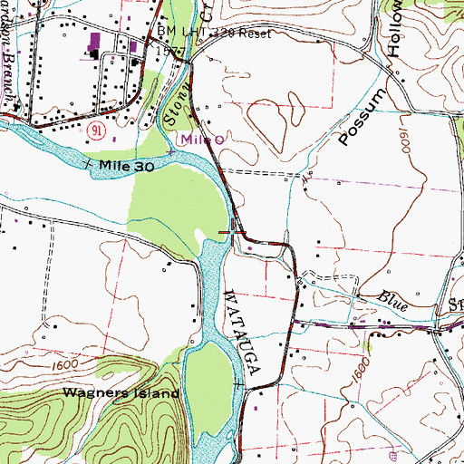 Topographic Map of Blue Spring Branch, TN