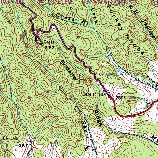 Topographic Map of Bodane Ridge, TN