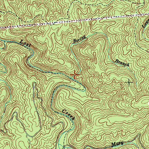 Topographic Map of Boring Branch, TN