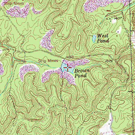 Topographic Map of Brown Pond, TN