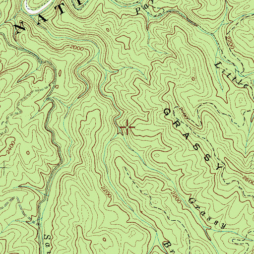 Topographic Map of Brushy Branch, TN