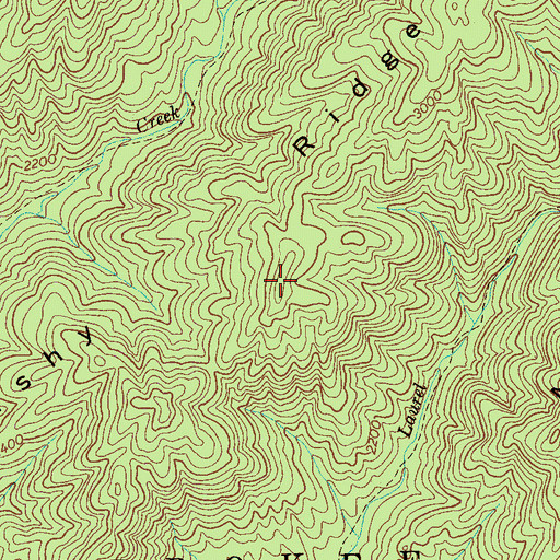 Topographic Map of Brushy Ridge, TN